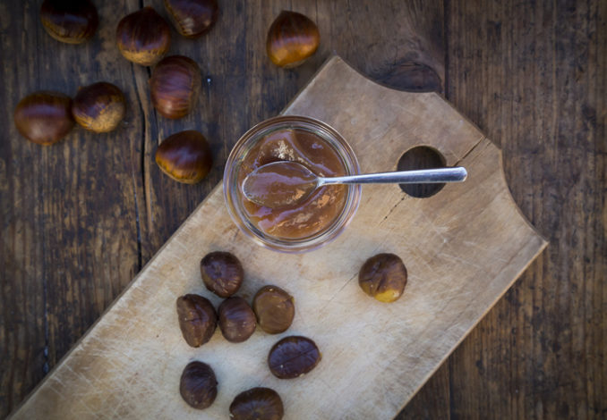 Delectable chestnut pudding recipe with a rich and creamy texture, topped with a sprinkle of cinnamon