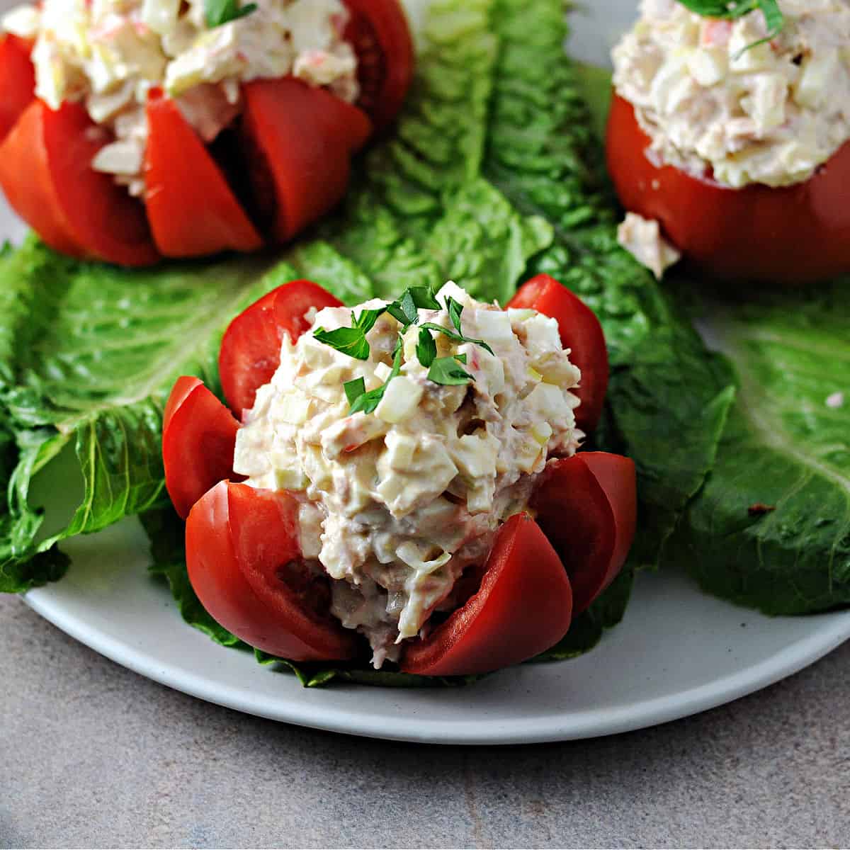 Stuffed Tomatoes with Tuna: A Healthy and Flavorful Dish | Intrecipes